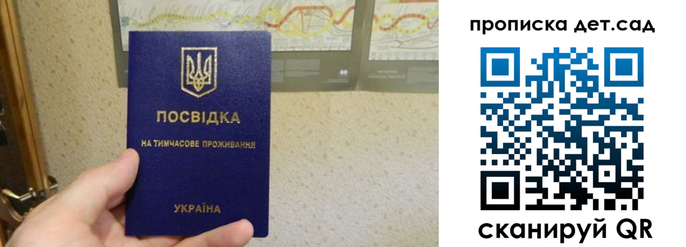 прописка для школы в Михайловке